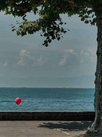Paysage paisible avec un ballon rouge accroché au bord d'un lac bleu, encadré par les feuilles d'un arbre