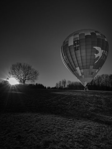 Photo en noir et blanc d'une montgolfière au sol à côté d'un arbre dénudé au lever du soleil.