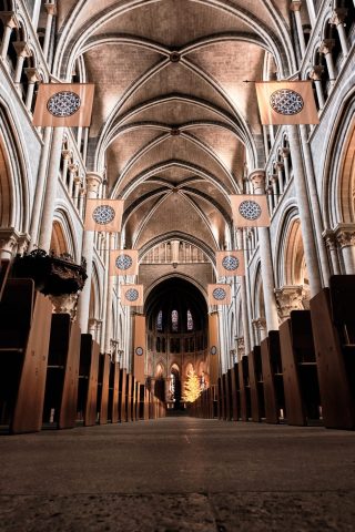 Intérieur majestueux d'une cathédrale gothique avec voûtes en pierre, rangées de bancs en bois et sapin illuminé au fond.