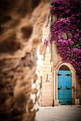 Ruelle typiques de Malte, bordés de bâtiments anciens en pierre calcaire avec des plantes fushia.